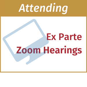 ex parte zoom hearing