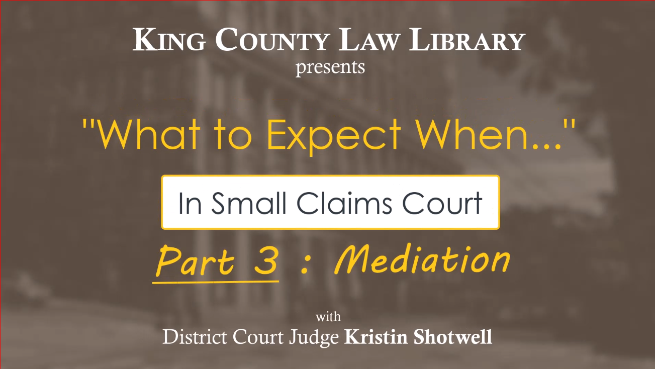 WTEW… in Small Claims Court (Part 3 – Mediation)