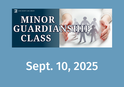 Minor Guardianship Class image